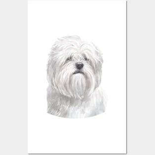 White Lhasa Apso Watercolor Art Posters and Art